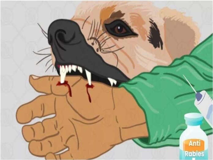 Kurukshetra News: कुरुक्षेत्र में रैबीज युवक की मौत