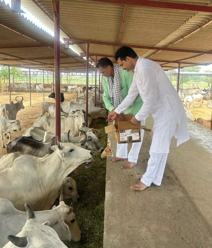 Bhiwani News : डॉ. जगदीश शर्मा पथरवाली को छठी पुण्यतिथि पर किया याद, 51 पौधे लगाए और गौ सेवा की