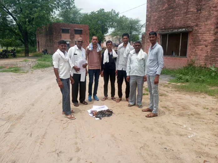 Electricity workers burnt the policy of online transfer policy