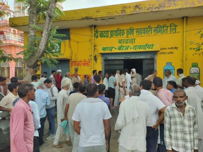 Farmers have already arrived to get DAP for Rabi season crops