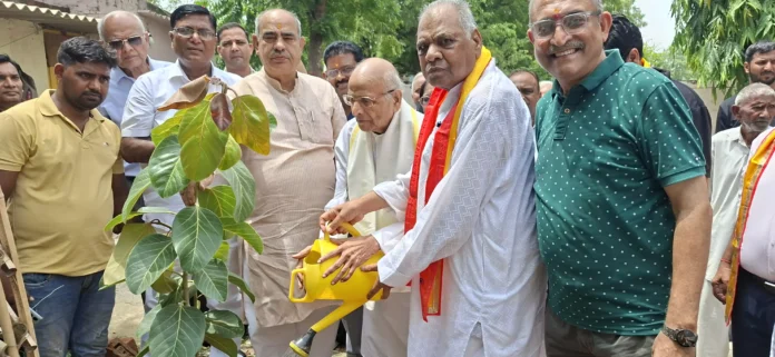 Faridabad News : जन्म से लेकर मृत्यु तक हर अनुष्ठान में काम आता है पौधा