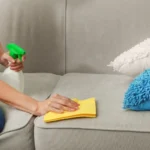 How To Clean Sofa