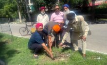 Chandigarh News