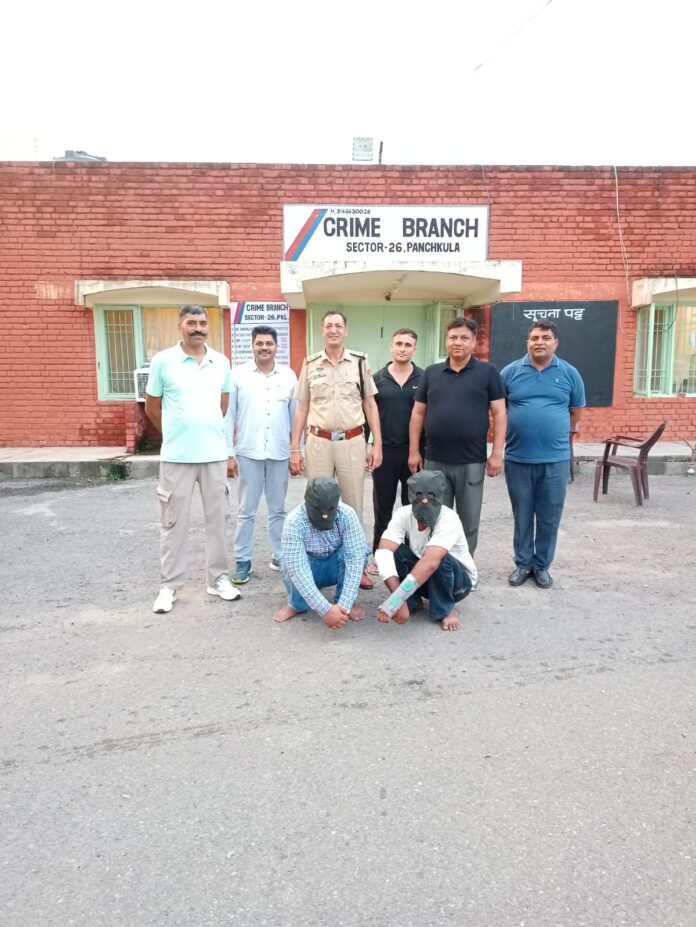 Chandigarh News