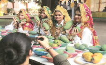 Mango Fair: पंचकूला में मैंगो मेला आज से, सीएम नायब सैनी करेंगे शुभारंभ