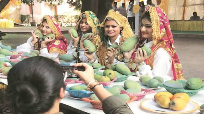 Mango Fair: पंचकूला में मैंगो मेला आज से, सीएम नायब सैनी करेंगे शुभारंभ