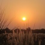 Haryana Weather Update:हरियाणा के अधिकांश जिलों में मौसम रहेगा साफ, 7 जिलों में हल्की बारिश की संभावना