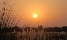 Haryana Weather Update:हरियाणा के अधिकांश जिलों में मौसम रहेगा साफ, 7 जिलों में हल्की बारिश की संभावना