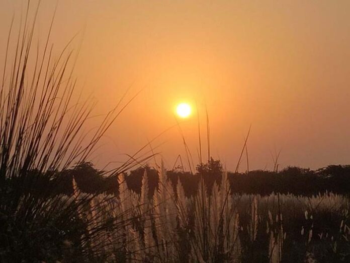 Haryana Weather Update:हरियाणा के अधिकांश जिलों में मौसम रहेगा साफ, 7 जिलों में हल्की बारिश की संभावना