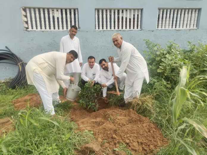 On the arrival of the month of Sawan, a special meeting was held in Berla village regarding environmental protection