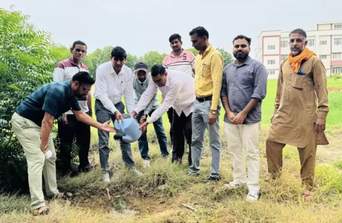 Sirsa News : चौधरी मनीराम झोरड़ राजकीय महाविद्यालय में 'एक पेड़ माँ के नाम’ कार्यक्रम आयोजित