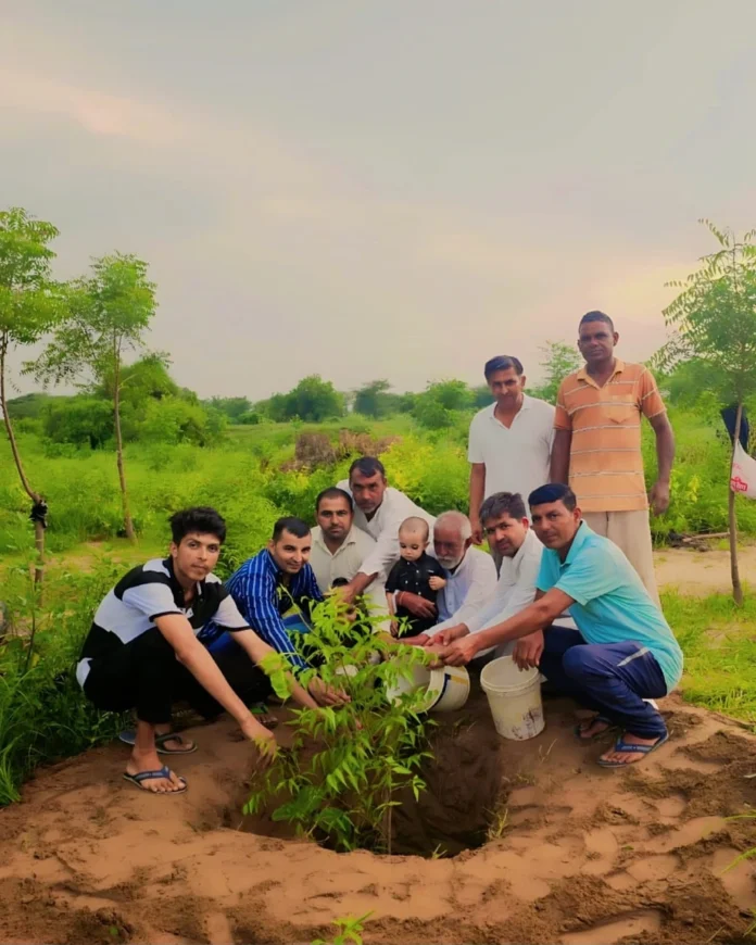 Plantation done in Kari Dharani