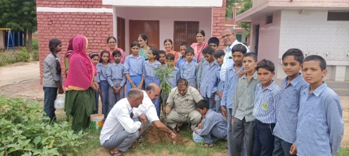 Plantation under the campaign One tree in the name of mother in village Jevali school