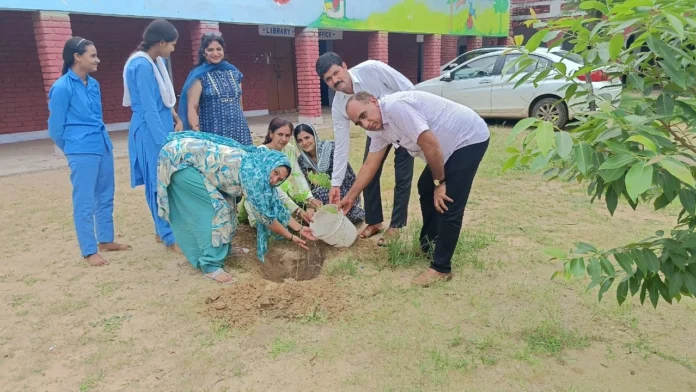 Plantation was done in the school under the campaign 'One tree in the name of mother'