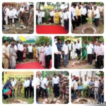 Punjab Governor and UT Chandigarh Administrator Gulab Chand Kataria led Chandigarh's biggest tree plantation drive on the occasion of 'Van Mahotsav 2025'