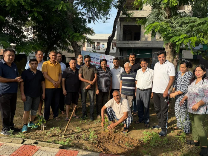 Rotary Club Rewari Royals planted 100 saplings in Sector 4 Park