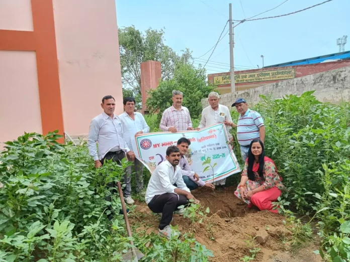 Tree plantation was done under One Tree in the name of Mother 2.0 campaign