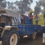 Haryana News: हरियाणा में 20 से अधिक बोरी खाद खरीदने वाले किसान रडार पर