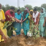 Bhiwani News : युवा जागृति एवं जनकल्याण मिशन ट्रस्ट ने देवशयनी एकादशी पर किया 51 पौधे रोपण