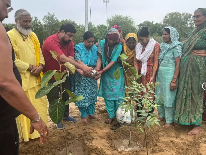 Bhiwani News : युवा जागृति एवं जनकल्याण मिशन ट्रस्ट ने देवशयनी एकादशी पर किया 51 पौधे रोपण