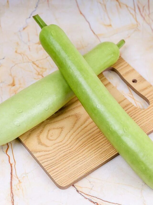 Benefits Of Bottle Gourd:  बरसात में लौकी से मिलेगा फिटनेस का सीक्रेट
