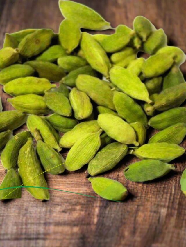 Benefits Of Cardamom: खाली पेट इलायची चबाने से होंगे ये चौंकाने वाले फायदे
