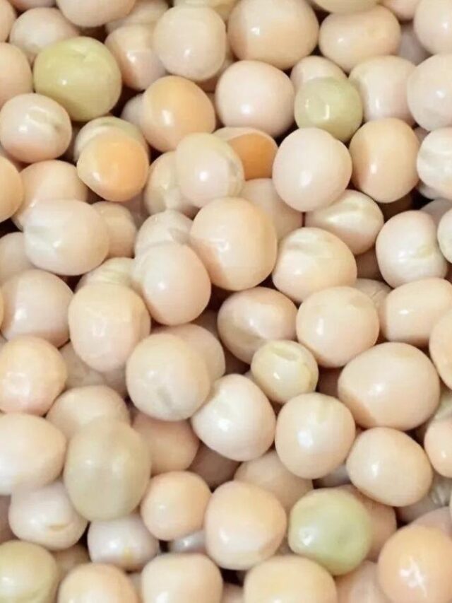 White Peas Benefits: सेहत की खान है ये सफेद चीज! शुगर, हर समस्या को करती है जड़ से खत्म