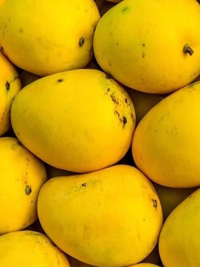 Health Tips: सुबह खाली पेट खाएं आम, मिलेंगे जबरदस्त फायदे