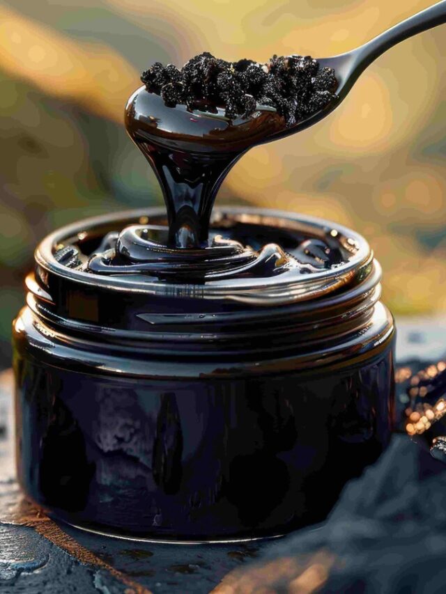 किस देश में सबसे ज्यादा पाया जाता है Shilajit