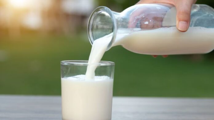 Non Veg Milk Controversy: दूध पर अंतरराष्ट्रीय ड्रामा! क्या सच में होता है 'नॉन वेज' दूध? भारत-अमेरिका व्यापार वार्ता में गर्माया मुद्दा