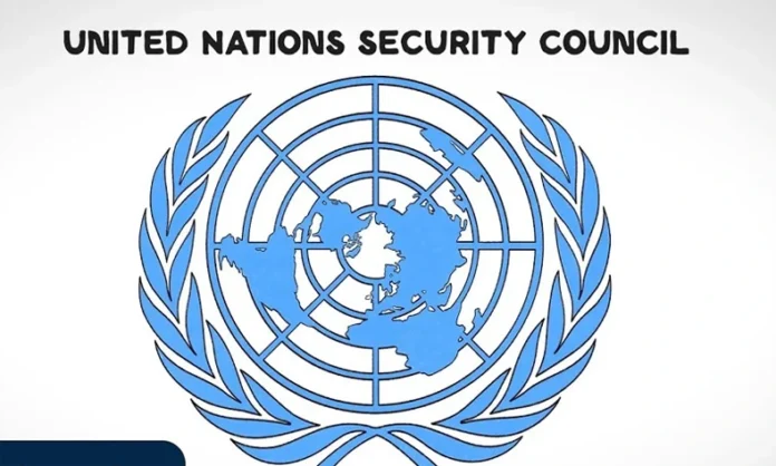 UNSC Report