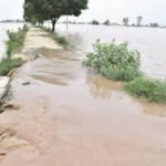 Punjab Flood News : पंजाब के कई जिलों में बाढ़ की स्थिति गंभीर