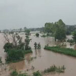 Punjab Weather Update : पंजाब में बारिश, बाढ़ का कहर, जम्मू-पठानकोट-जालंधर एनएच बंद