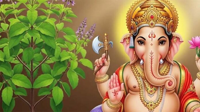 Ganesh Chaturthi Special: जानें गणपति को क्यों नहीं चढ़ाई जाती तुलसी