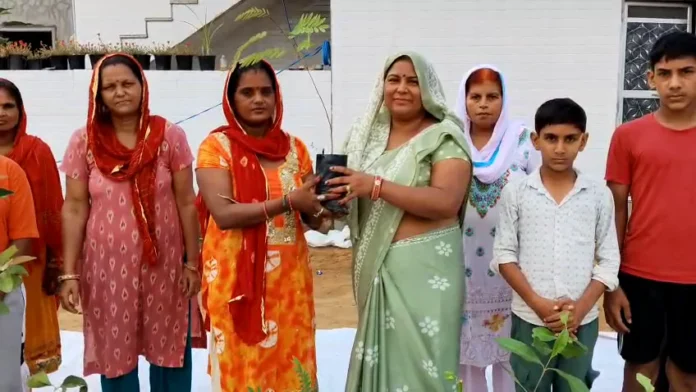 Bhiwani News : भिवानी में सामाजिक संस्था ने बहन दिवस को दिया पर्यावरण संरक्षण का स्वरूप