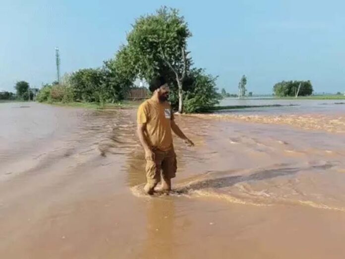 Haryana Weather Update: कुरुक्षेत्र के गांव कठुआ में घुसा मारकंडा नदी का पानी, बाढ़ जैसे हालात बने