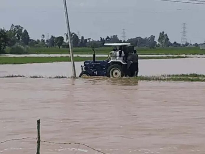 Haryana Weather Update: आज पंचकूला और यमुनानगर में तेज बारिश की संभावना