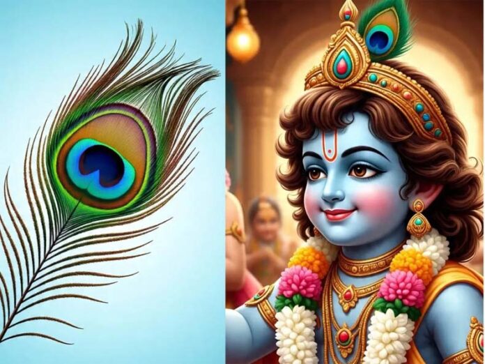 Janmashtami Special: मोरपंख से घर में आती है सकारात्मक ऊर्जा, नकारात्मक शक्तियों से होता है बचाव