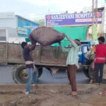 Gurugram News : नगर निगम गुरुग्राम शहरभर में चला रहा नियमित कचरा उठान व साफ-सफाई कार्य