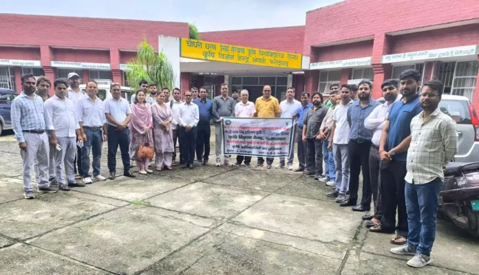 Organizing a training camp for agricultural officers on the control of pink caterpillar and white fly in cotton crop