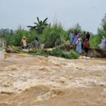 Punjab Flood Update News : पंजाब के बाढ़ ग्रस्त एरिया की होगी विशेष गिरदावरी