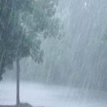 Haryana Weather Update: हरियाणा के 7 जिलों में बारिश का यलो अलर्ट