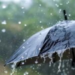 Haryana Weather Update: हरियाणा के 5 जिलों में हो रही बारिश