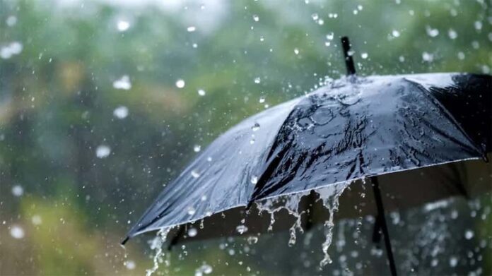 Haryana Weather Update: हरियाणा के 5 जिलों में हो रही बारिश