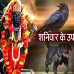 Shanivaar Upaay: शनिवार के दिन ये चीजें घर लाने से बिगड़ सकती है परिवार की हालात