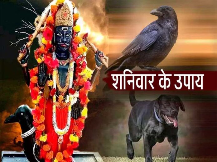 Shanivaar Upaay: शनिवार के दिन ये चीजें घर लाने से बिगड़ सकती है परिवार की हालात