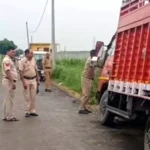 Three cow smugglers arrested on Sohna Road, cows recovered from container