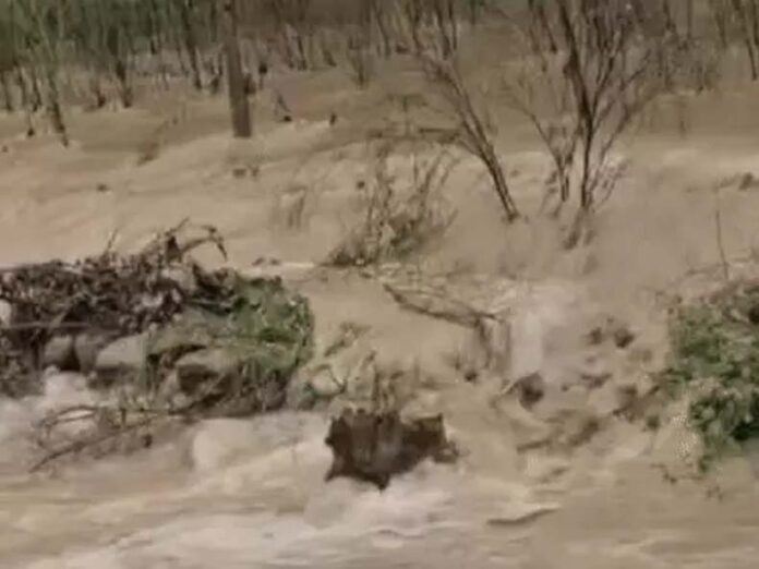 Haryana Flood: हरियाणा में खतरे के निशान से ऊपर बह रही यमुना, कई गांव में घुसा मारकंडा नदी का पानी