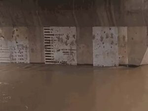 Markanda River: कुरुक्षेत्र के गांव नैंसी में मारकंडा नदी का तटबंध टूटा