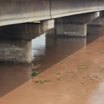 Water level of Ghaggar river under control Deputy Commissioner Komal Mittal